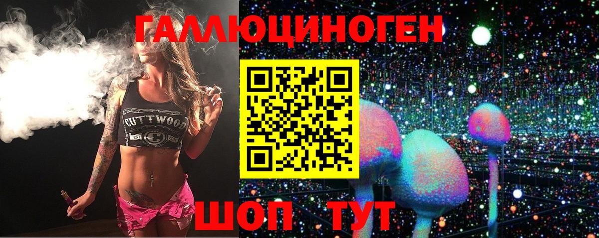 Галлюциногенные грибы Psilocybine cubensis Приморско-Ахтарск